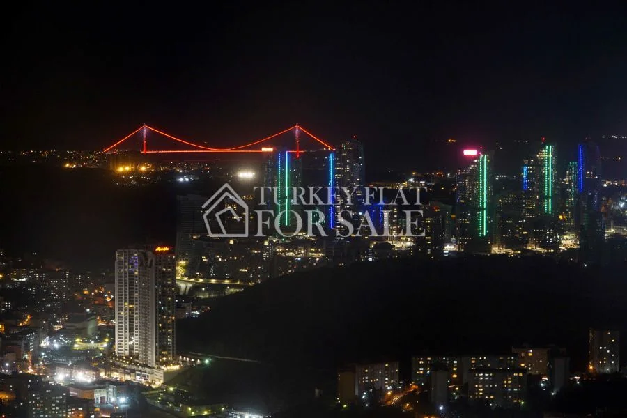 The SkyLand Project: Social and Investment Opportunities
