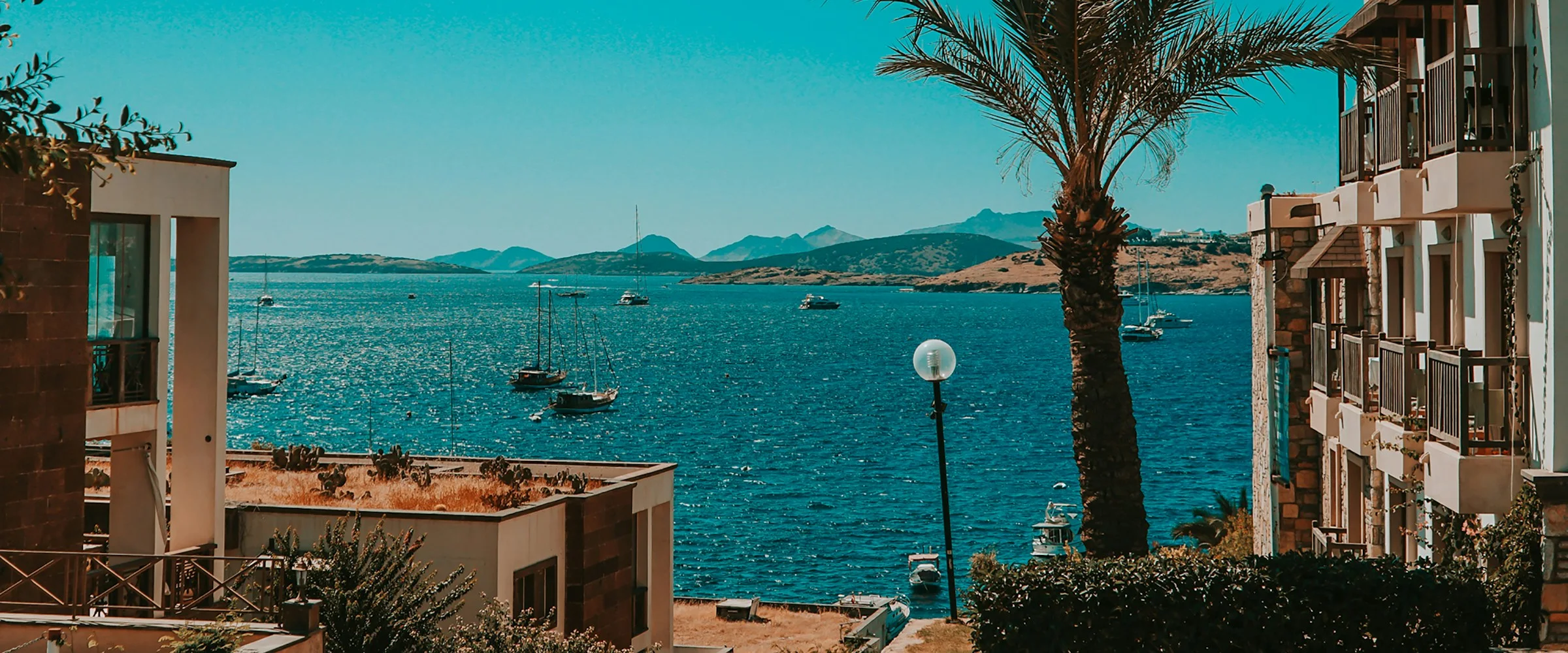 Palm trees and sea view in Bodrum