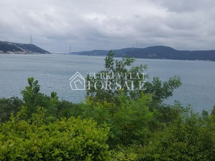 Dalyan Koru Villas & Bosphorus View, İstanbul – photo 4