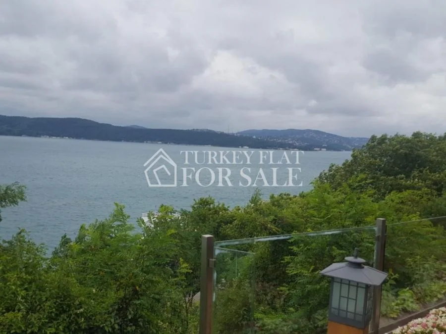 Dalyan Koru Villas & Bosphorus View, İstanbul – photo 1