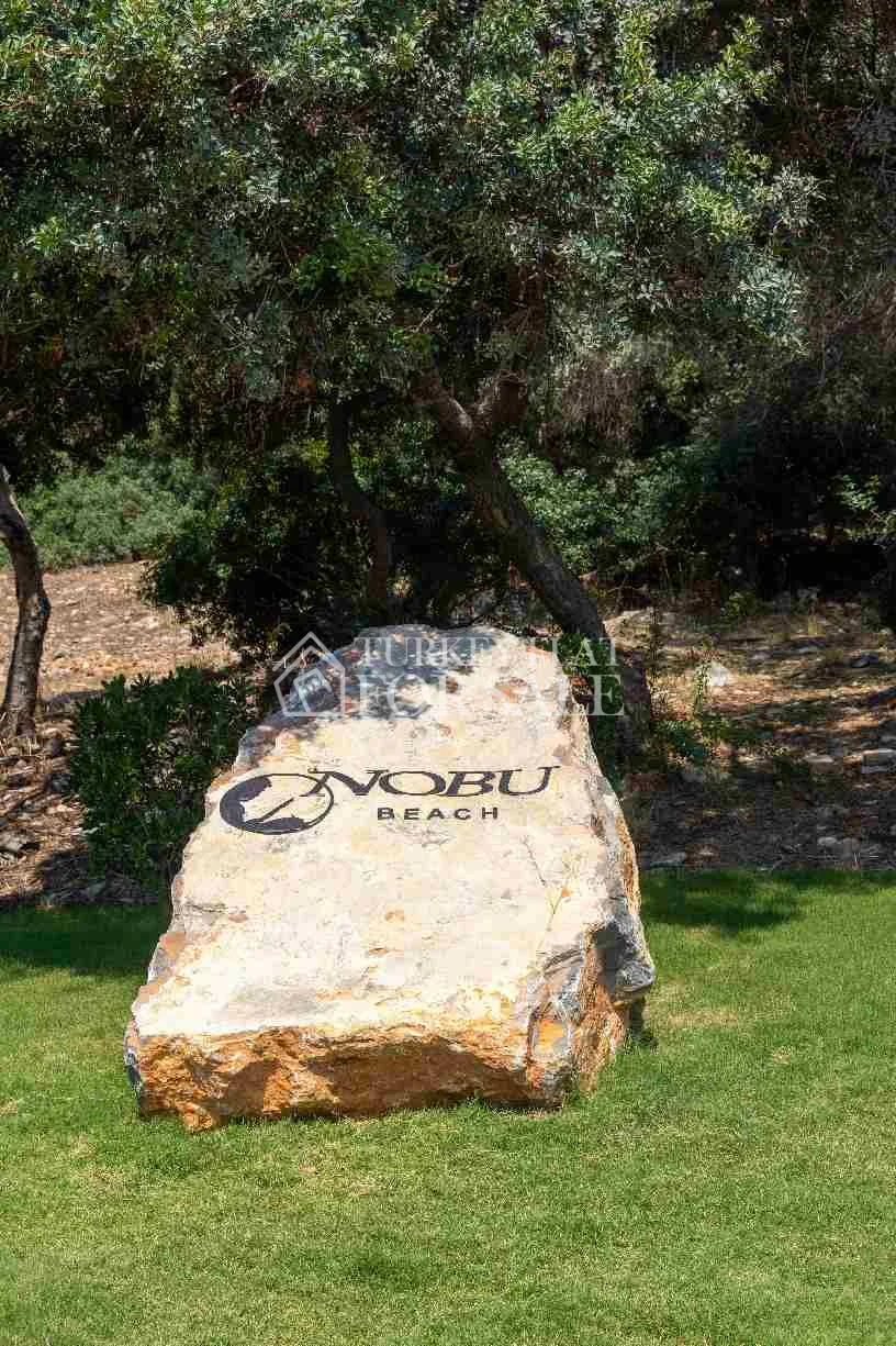 Seba Golkoy Bodrum Villa, Gölköy – photo 34