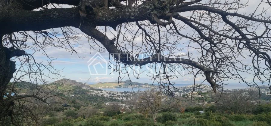 Villa Land for Sale in Bodrum Yalikavak, Yalıkavak – photo 2