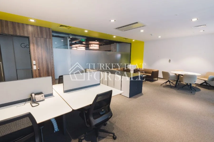 Vadi Istanbul Office For Sale in SkyLand, İstanbul – photo 3