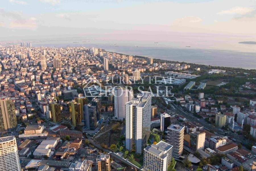 Lamer Dragos Maltepe, İstanbul